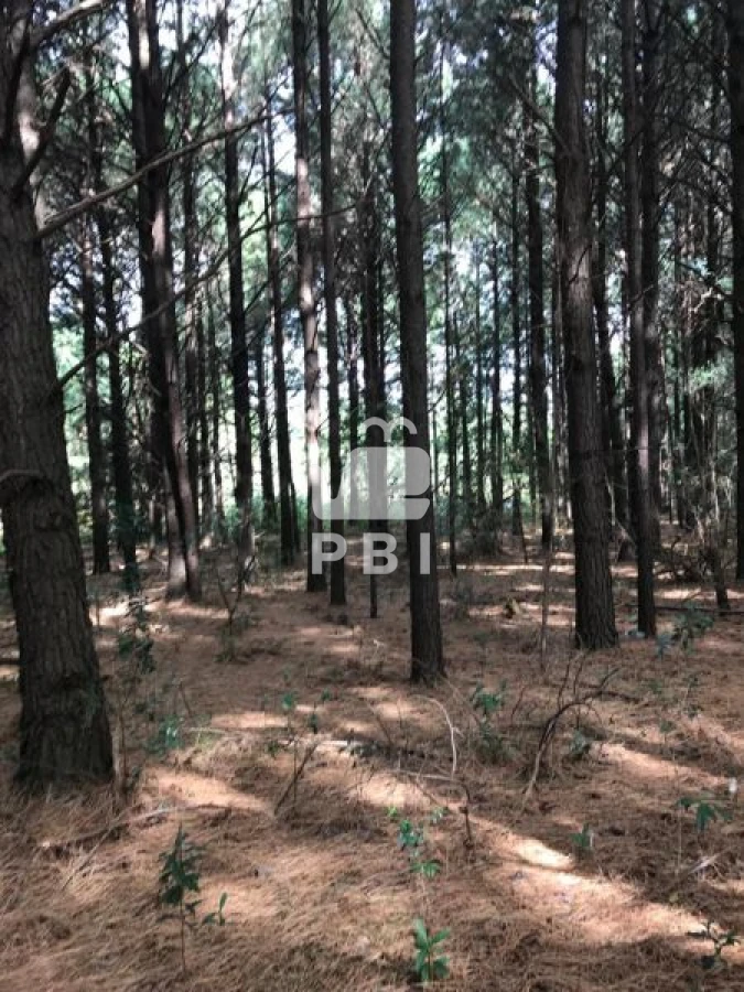 Q2hhY3JhIGVuIHZlbnRhIFB1bnRhIEJhbGxlbmEgIC0gUmVmIDogUEJJMTM0NA==