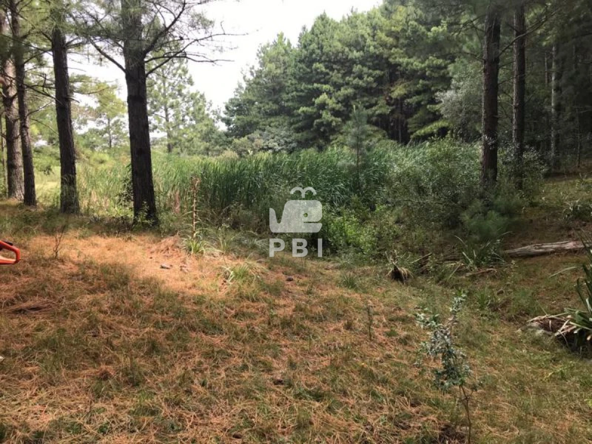 Q2hhY3JhIGVuIHZlbnRhIFB1bnRhIEJhbGxlbmEgIC0gUmVmIDogUEJJMTM0NA==