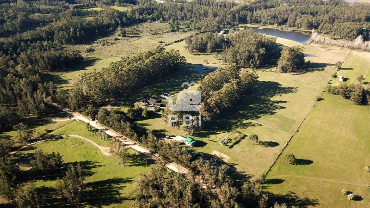 Punta Ballena - GoPunta - Portal Inmobiliario de Punta del Este - Maldonado