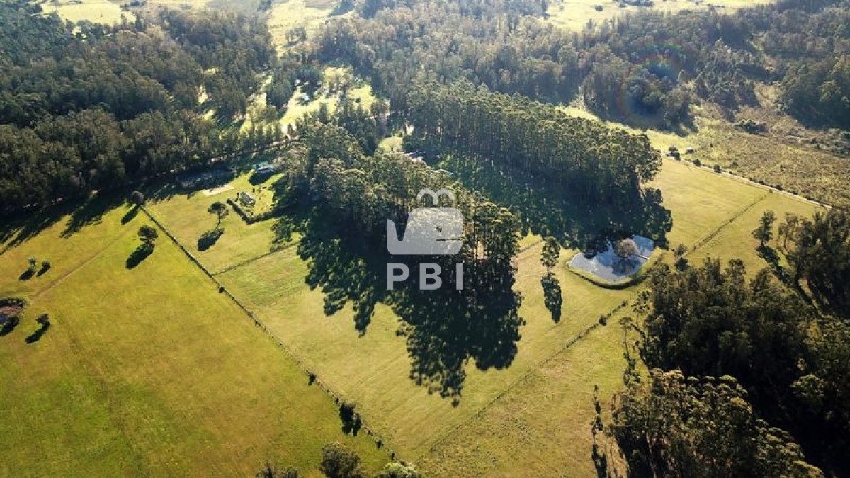 Punta Ballena - GoPunta - Portal Inmobiliario de Punta del Este - Maldonado