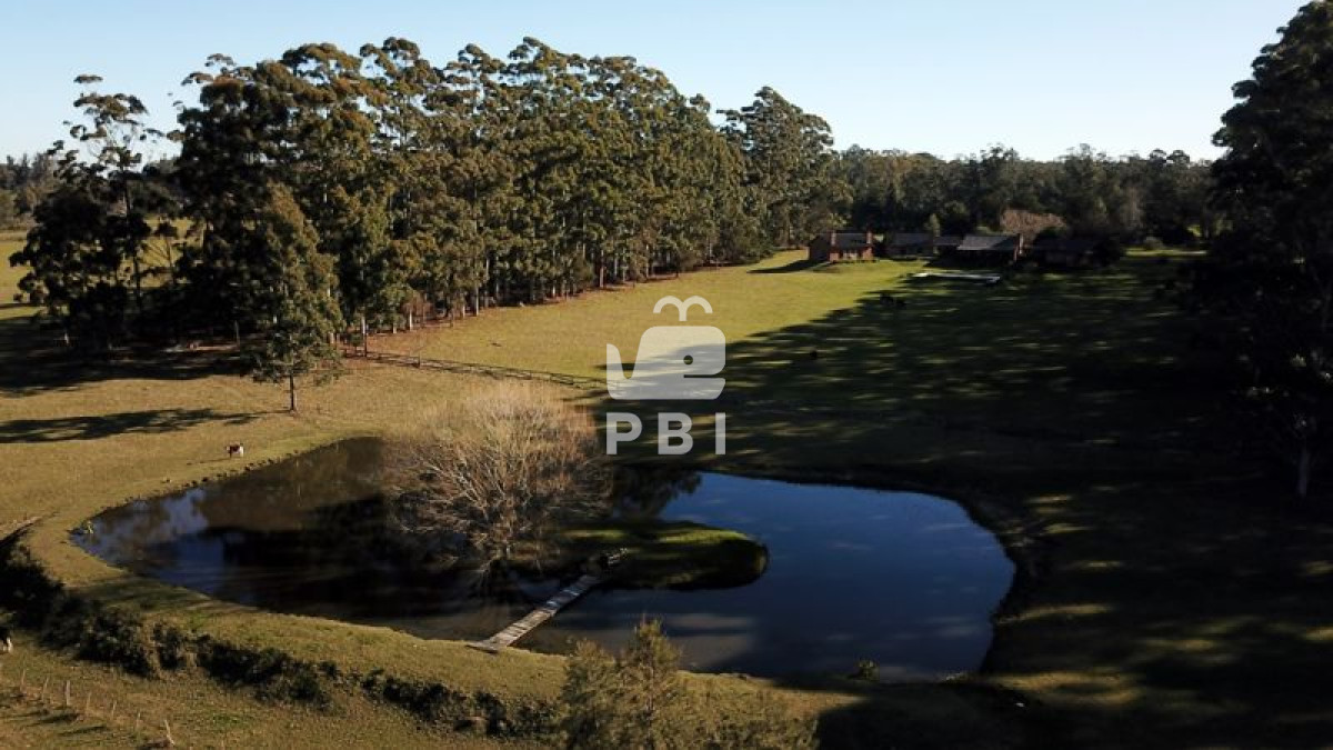 Punta Ballena - GoPunta - Portal Inmobiliario de Punta del Este - Maldonado