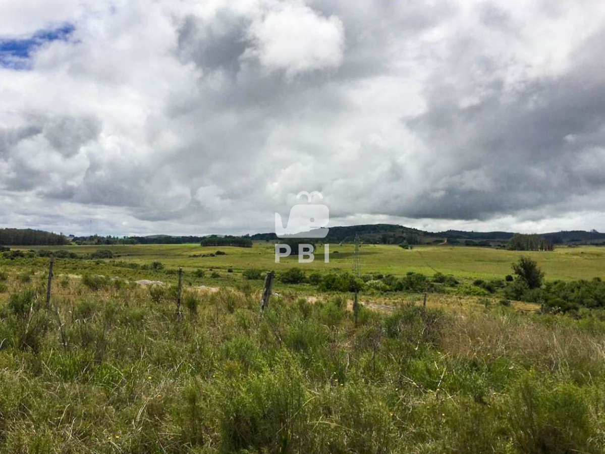 Punta Ballena - GoPunta - Portal Inmobiliario de Punta del Este - Maldonado