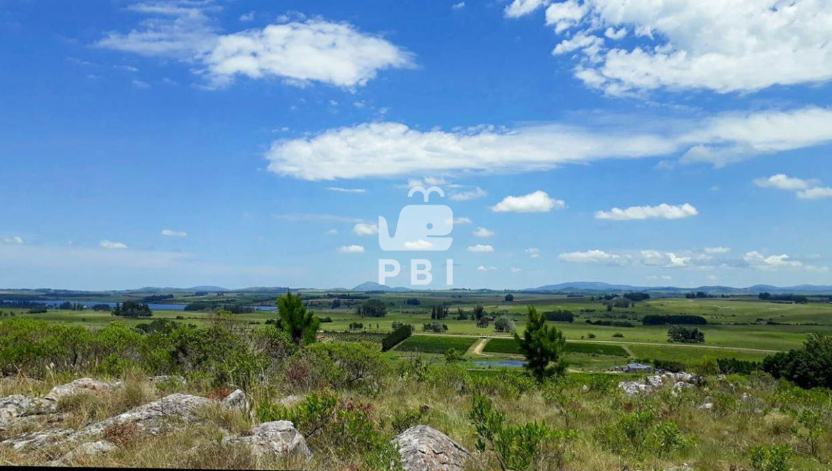 Punta Ballena - GoPunta - Portal Inmobiliario de Punta del Este - Maldonado