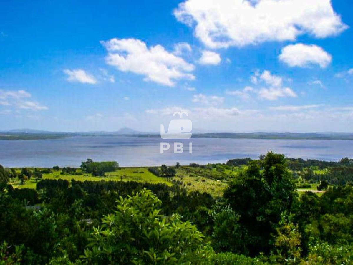 Punta Ballena - GoPunta - Portal Inmobiliario de Punta del Este - Maldonado