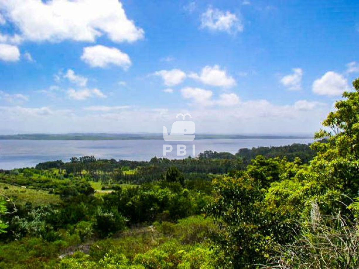 Punta Ballena - GoPunta - Portal Inmobiliario de Punta del Este - Maldonado