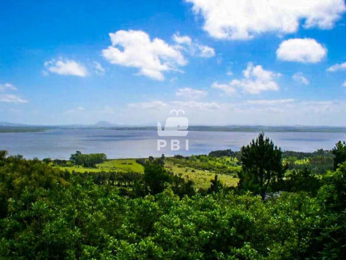 Punta Ballena - GoPunta - Portal Inmobiliario de Punta del Este - Maldonado