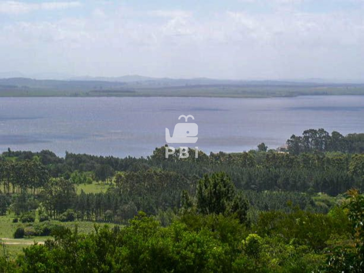 Punta Ballena - GoPunta - Portal Inmobiliario de Punta del Este - Maldonado