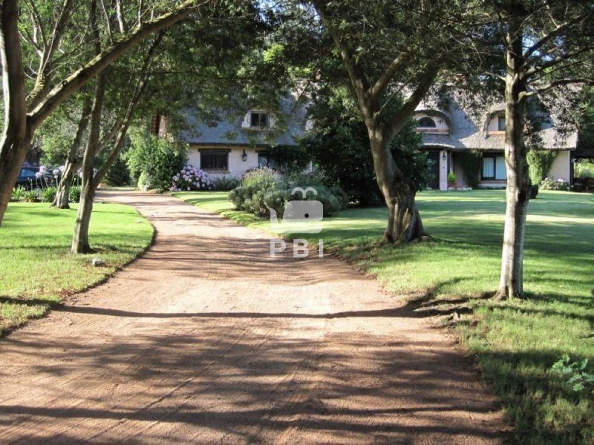 Punta Ballena - GoPunta - Portal Inmobiliario de Punta del Este - Maldonado