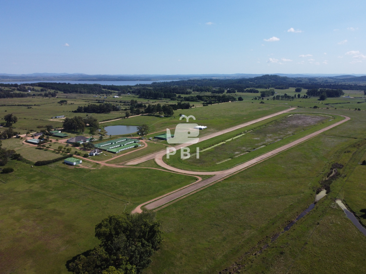 Laguna del Sauce - GoPunta - Portal Inmobiliario de Punta del Este - Maldonado