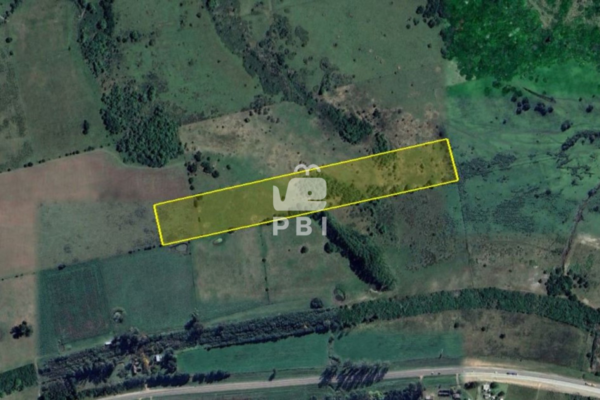Punta Ballena - GoPunta - Portal Inmobiliario de Punta del Este - Maldonado