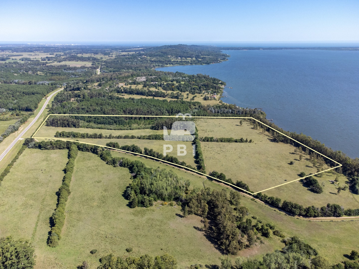 Laguna del Sauce - GoPunta - Portal Inmobiliario de Punta del Este - Maldonado