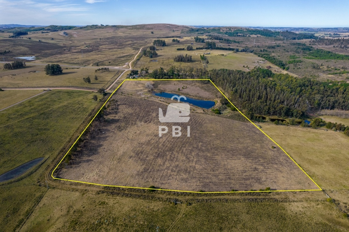 Laguna del Sauce - GoPunta - Portal Inmobiliario de Punta del Este - Maldonado
