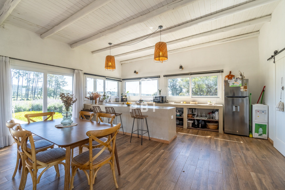 La Pataia - GoPunta - Portal Inmobiliario de Punta del Este - Maldonado