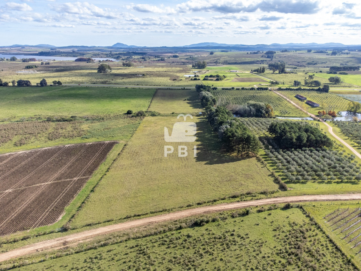 Laguna del Sauce - GoPunta - Portal Inmobiliario de Punta del Este - Maldonado