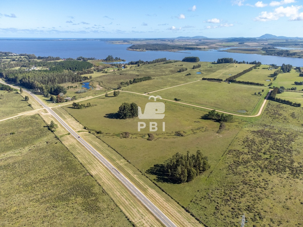 Laguna del Sauce - GoPunta - Portal Inmobiliario de Punta del Este - Maldonado