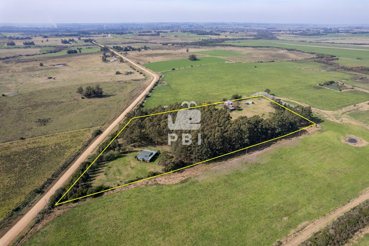 La Pataia - GoPunta - Portal Inmobiliario de Punta del Este - Maldonado
