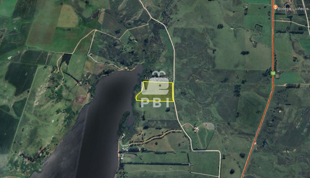 Laguna del Sauce - GoPunta - Portal Inmobiliario de Punta del Este - Maldonado