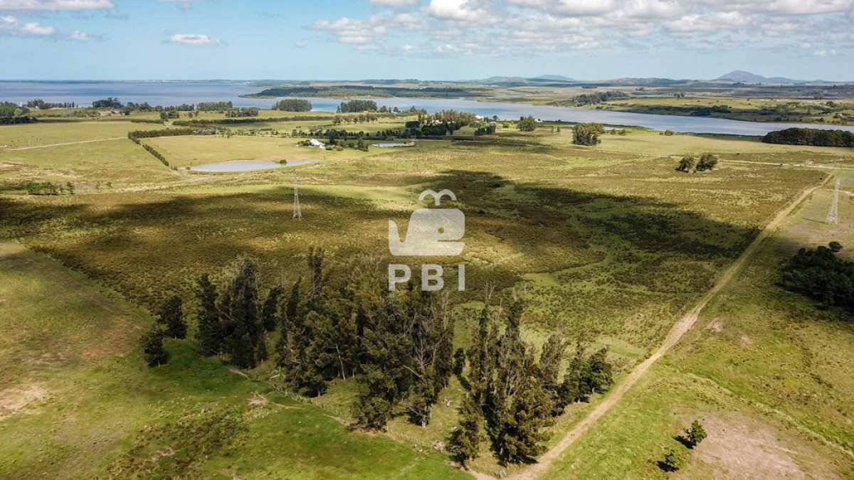 Laguna del Sauce - GoPunta - Portal Inmobiliario de Punta del Este - Maldonado