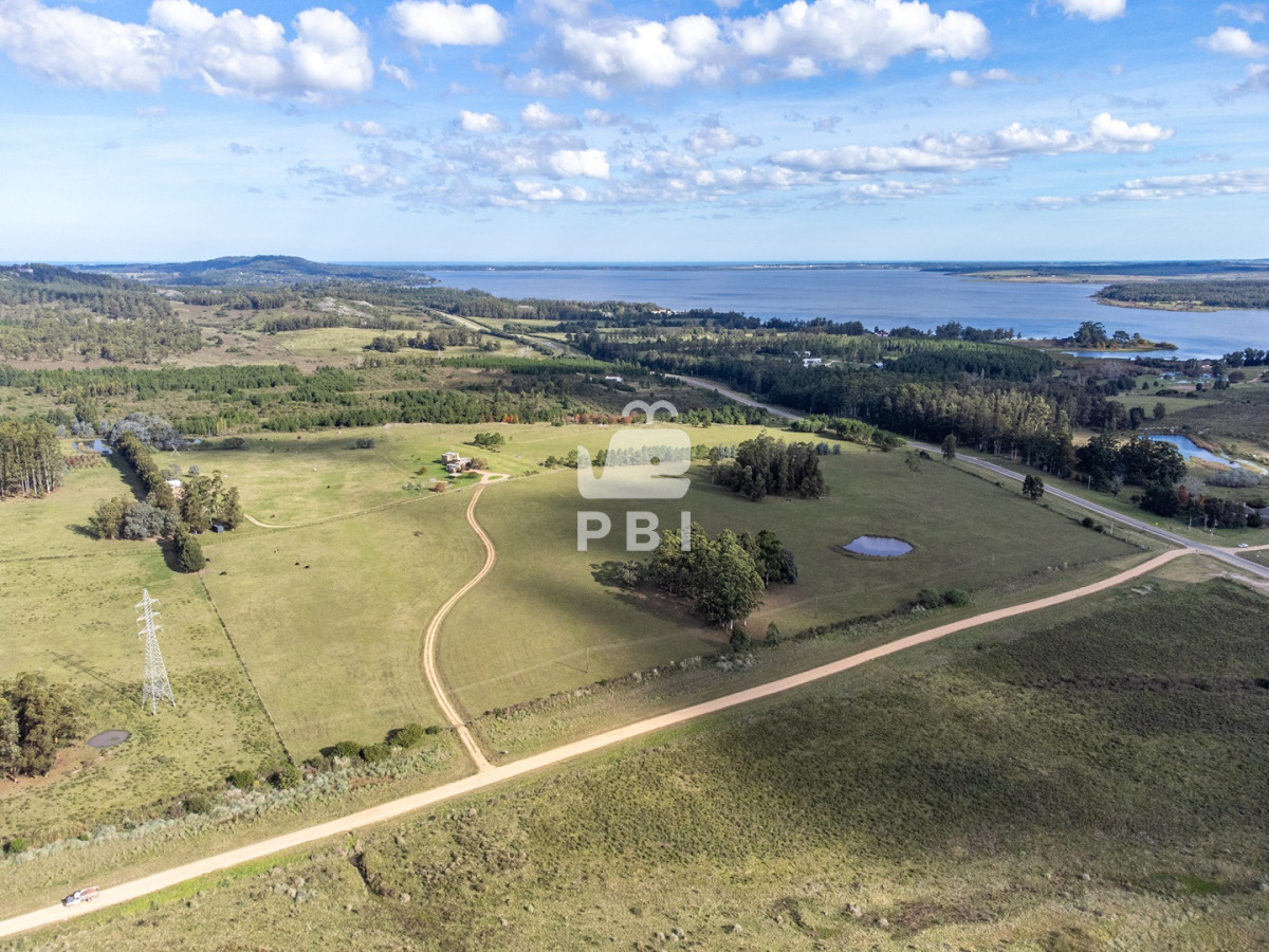 Laguna del Sauce - GoPunta - Portal Inmobiliario de Punta del Este - Maldonado