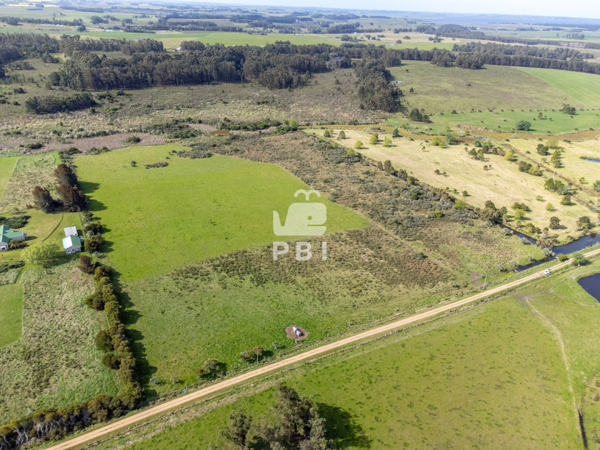 RXhjZWxlbnRlIENIQUNSQVMgIGVuIGJ1ZW5hIFVCSUNBQ0lPTiAgLSBSZWYgOiBQQkkxMzUyNA==