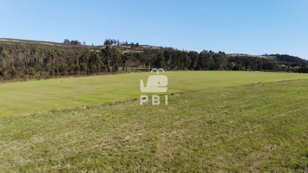 Punta Ballena - GoPunta - Portal Inmobiliario de Punta del Este - Maldonado