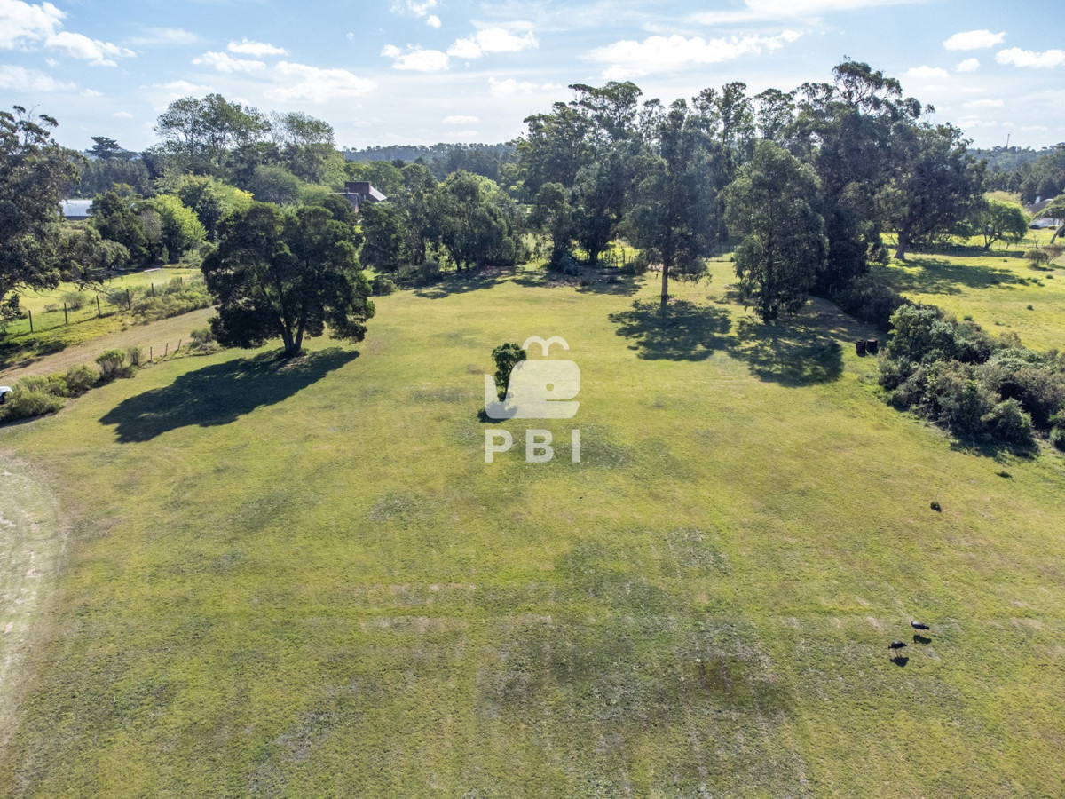 VGVycmVubyBlbiB2ZW50YSBlbiBQdW50YSBCYWxsZW5hIC0gUmVmIDogUEJJMTU1NTM=