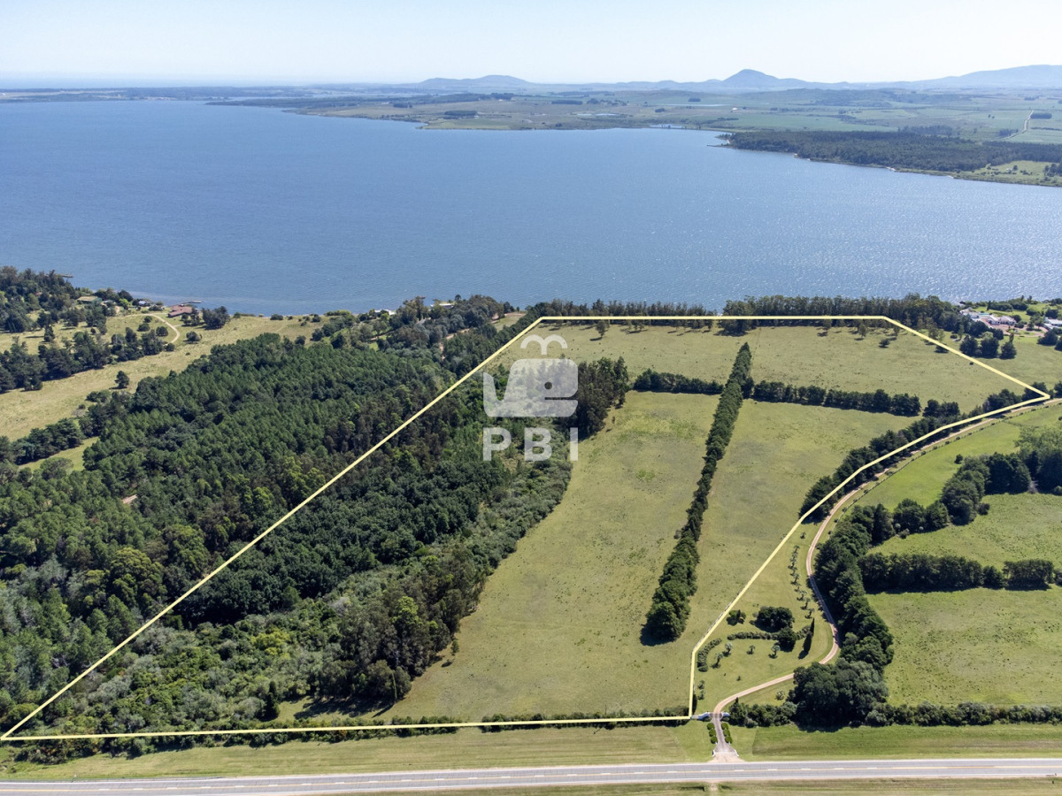 Laguna del Sauce - GoPunta - Portal Inmobiliario de Punta del Este - Maldonado