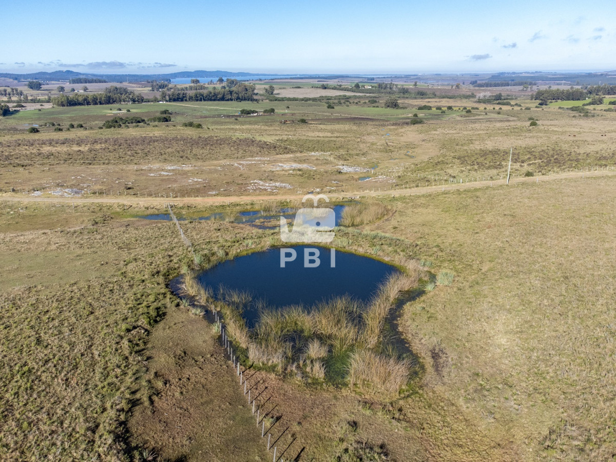 Zona Rural - GoPunta - Portal Inmobiliario de Punta del Este - Maldonado