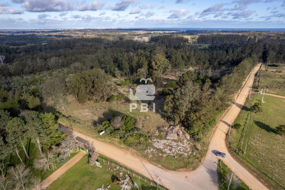 La Pataia - GoPunta - Portal Inmobiliario de Punta del Este - Maldonado