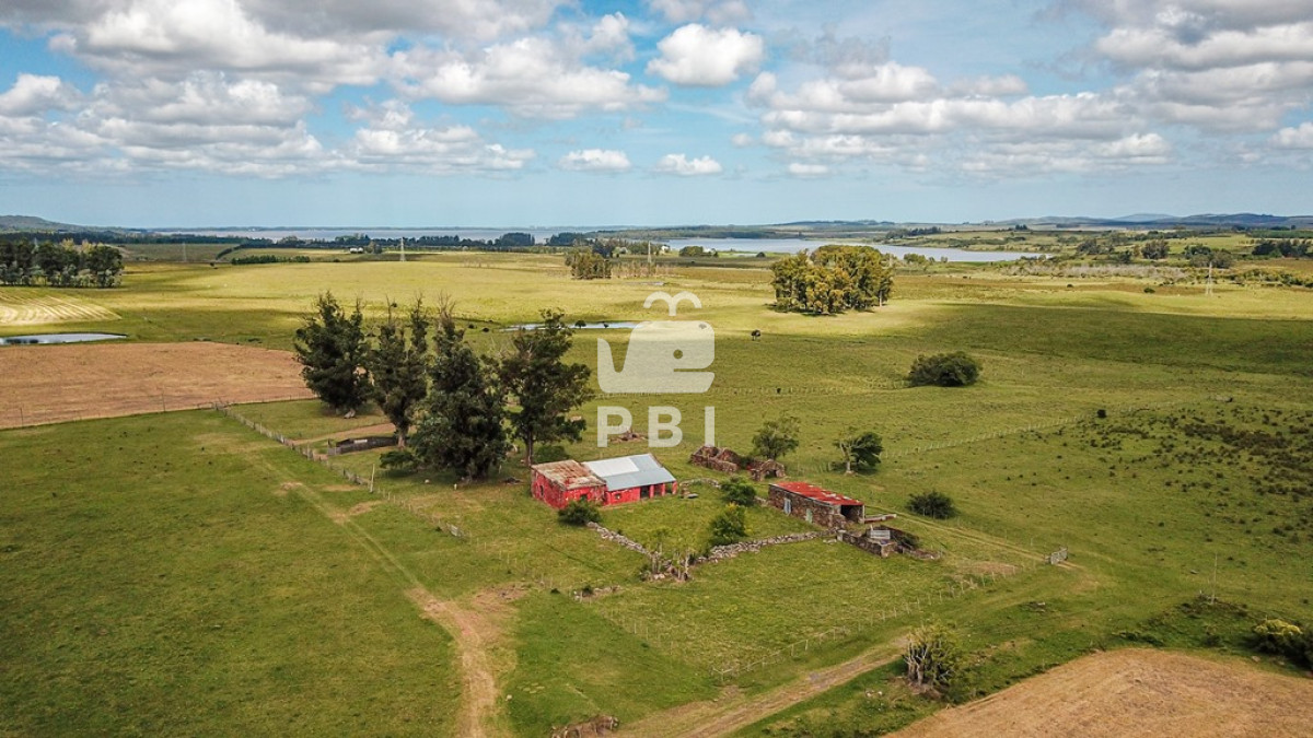 Laguna del Sauce - GoPunta - Portal Inmobiliario de Punta del Este - Maldonado