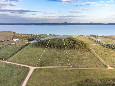 Chacra en venta en Laguna del Sauce, Punta Ballena  - Ref : PBI14772