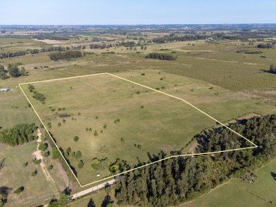 Venta de Chacra en Las Vertientes, Punta Ballena - Ref : PBI12555