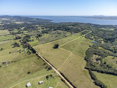 Chacras en venta en La Pataia, Punta Ballena - Ref : PBI14384