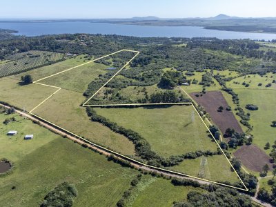 Chacras en venta en La Pataia, Punta Ballena - Ref : PBI14385