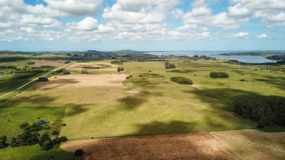 Venta de Chacra en Laguna del Sauce, Punta del Este - Ref : PBI2315