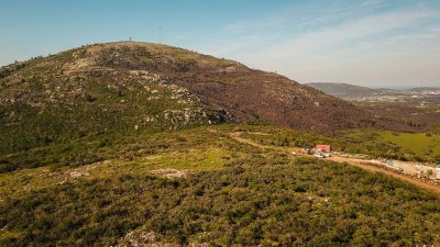 Chacra en venta Piriápolis  - Ref : PBI1619