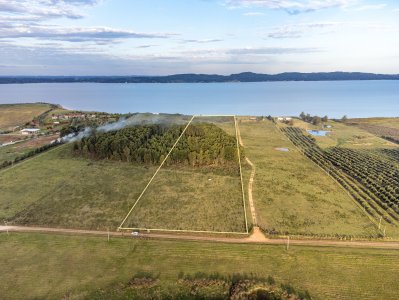 Chacra en venta en Laguna del Sauce, Punta Ballena  - Ref : PBI14771