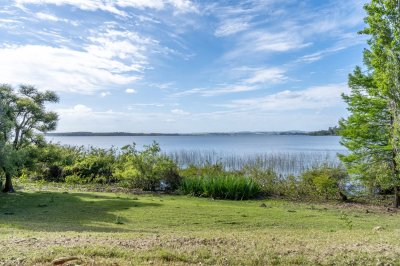 Chacra sobre la Laguna del Sauce, en Punta Ballena