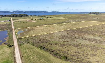 Chacra en venta en Laguna del Sauce, Punta Ballena  - Ref : PBI14797