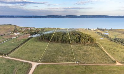 Chacra en venta en Laguna del Sauce, Punta Ballena  - Ref : PBI14772