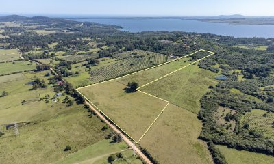 Chacras en venta en La Pataia, Punta Ballena - Ref : PBI14384