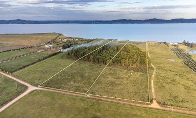 Chacras en venta en Laguna del Sauce, Punta Ballena - Ref : PBI14773
