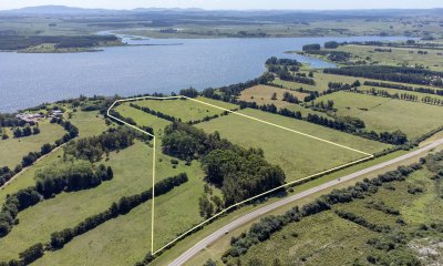 Chacra en venta en Laguna del Sauce, Punta Ballena  - Ref : PBI14381