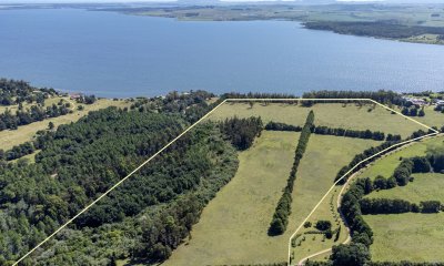 Chacra en venta en Laguna del Sauce, Punta Ballena  - Ref : PBI14380