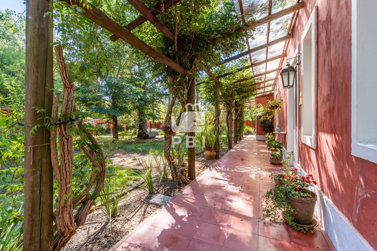 Q2hhY3JhIGVuIENhbWlubyBMdXNzaWNoLCBQdW50YSBCYWxsZW5hIC0gUmVmIDogUEJJMzEwNQ==