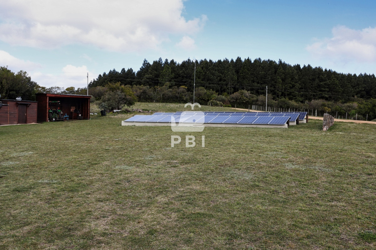 Q2hhY3JhIGVuIE1hbGRvbmFkbyAtIFJlZiA6IFBCSTEyNjY3