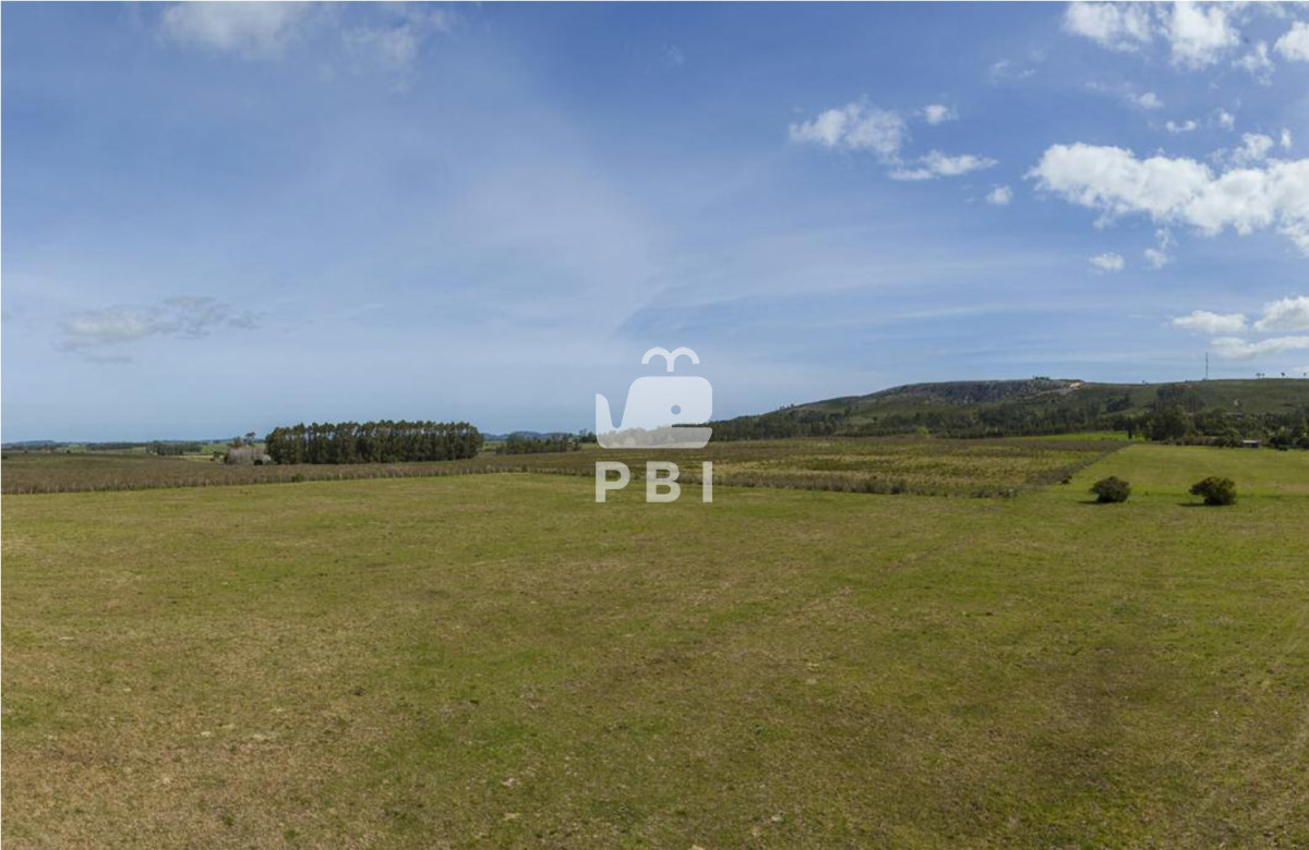 Punta Ballena - GoPunta - Portal Inmobiliario de Punta del Este - Maldonado