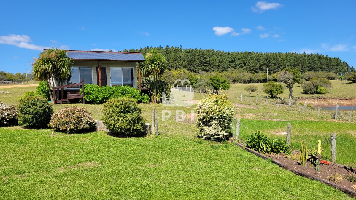 Q2hhY3JhIGVuIE1hbGRvbmFkbyAtIFJlZiA6IFBCSTEyNjY3