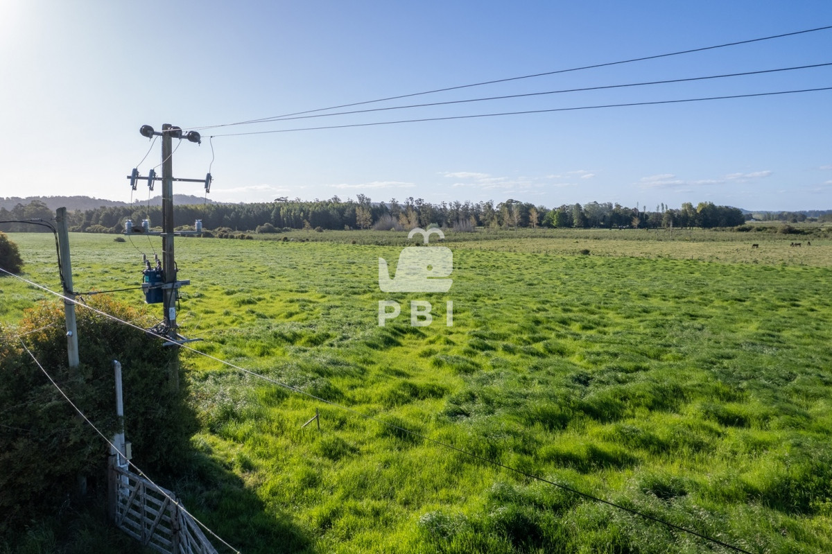 Q2hhY3JhIGVuIExhIFBhdGFpYSwgUHVudGEgQmFsbGVuYSAtIFJlZiA6IFBCSTEyOTQw