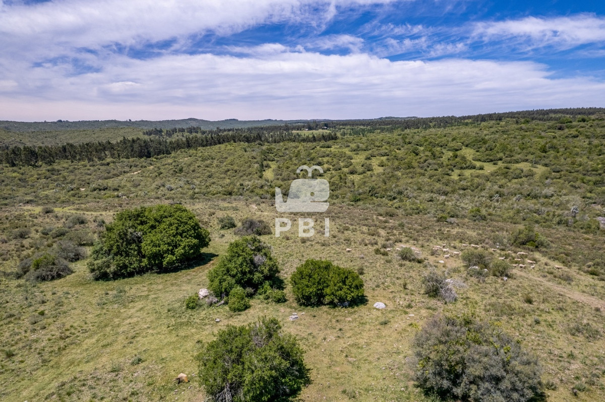 Aiguá - GoPunta - Portal Inmobiliario de Punta del Este - Maldonado